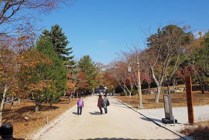 The Ancient City of Brilliant Shilla Kingdom - Gyeongju in One Day( or Overnite) - Overnight Stay Recommendations in Gyeongju