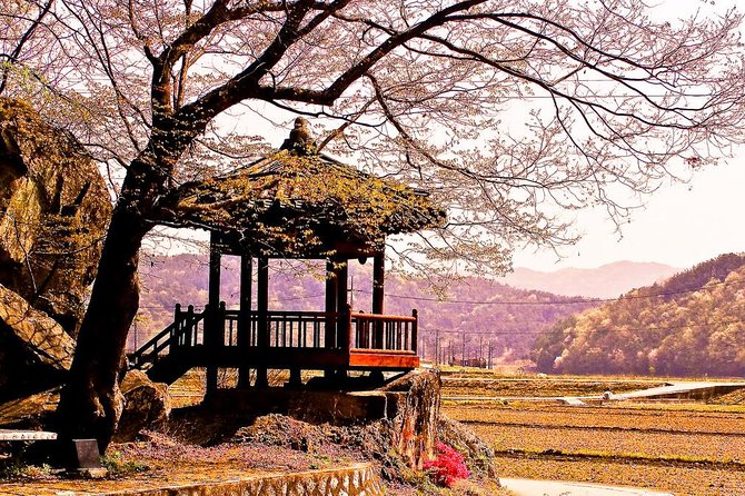 The Beauty of the Korea Cherry Blossom Discover 11days 10nights - Accommodation and Meals