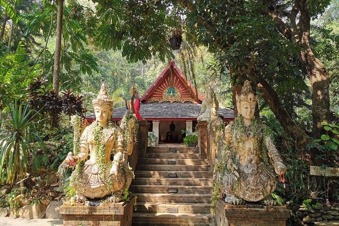 The Best City Tour View Points Wat Doi Suthep, Wat Chedi Luang and Wat Pha Lat - Traveler Feedback and Ratings