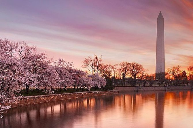 The DC Cherry Blossom Tour - Cancellation Policy