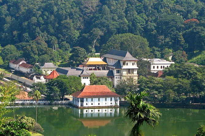 The Last Kingdom Private Day Tour in Kandy - Tour Overview