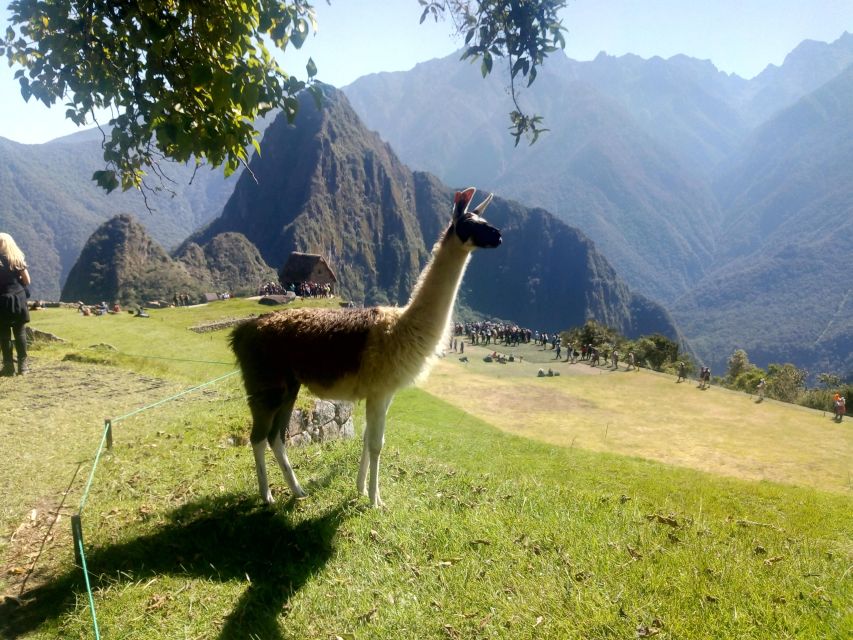 The Mysteries of Cusco and Machupicchu Huchuy Qosqo - Inclusions in the Tour Package