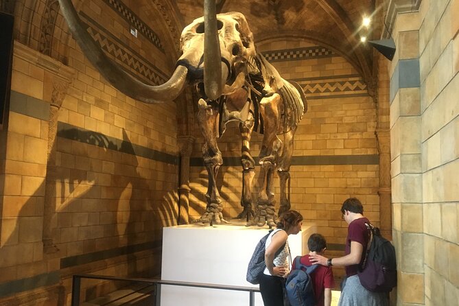 The Natural History Museum Guided Tour in London - What to Expect
