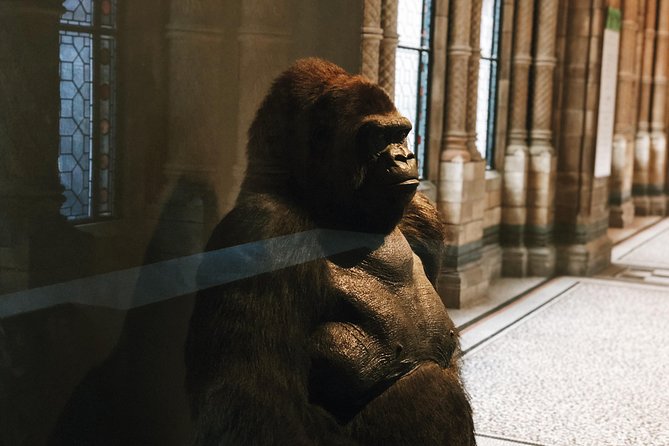 The Natural History Museum London Guided Tour - Semi-Private 8ppl Max - Inclusions and Meeting Points