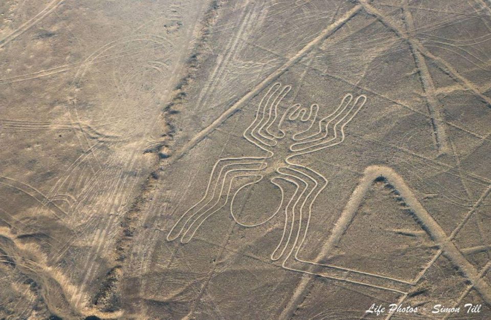 The Nazca Lines & Buggy at Huacachina Oasis - Full Day - Common questions