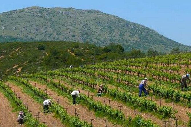 The Nemea Wine Roads With Breathtaking Nafplion Private Tour - Cancellation Policy and Refund Information