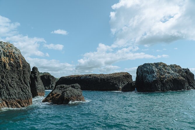 The Original Full Day Bay of Islands Cruise With Dolphins - Activity Details