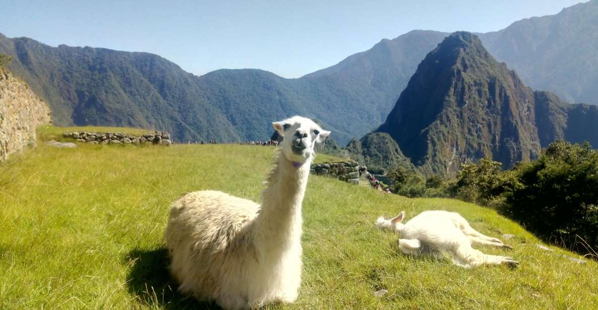 The Peru of the Andes - Altiplano Adventure With Volcanoes