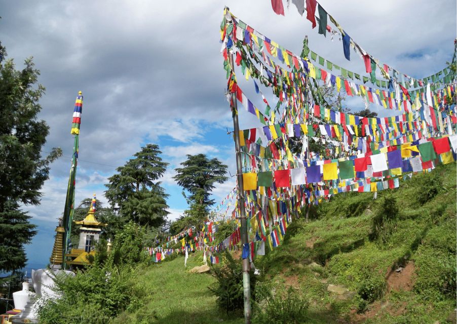 The Spiritual Trails of Dharamshala(Guided Walking Tour) - Tour Description