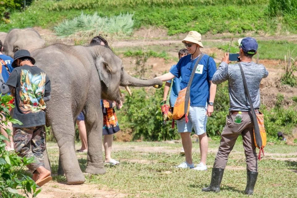 The Ultimate Elephant Experience and Coffee Workshop - Coffee Workshop Experience