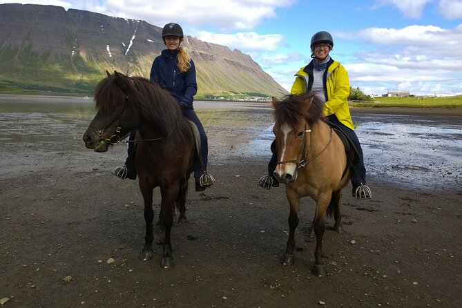 The Valley Ride Private HORSE RIDING Tour - Reviews