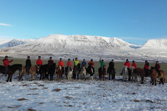 The Viking North Iceland Horse Riding in Winter Experience - Logistics