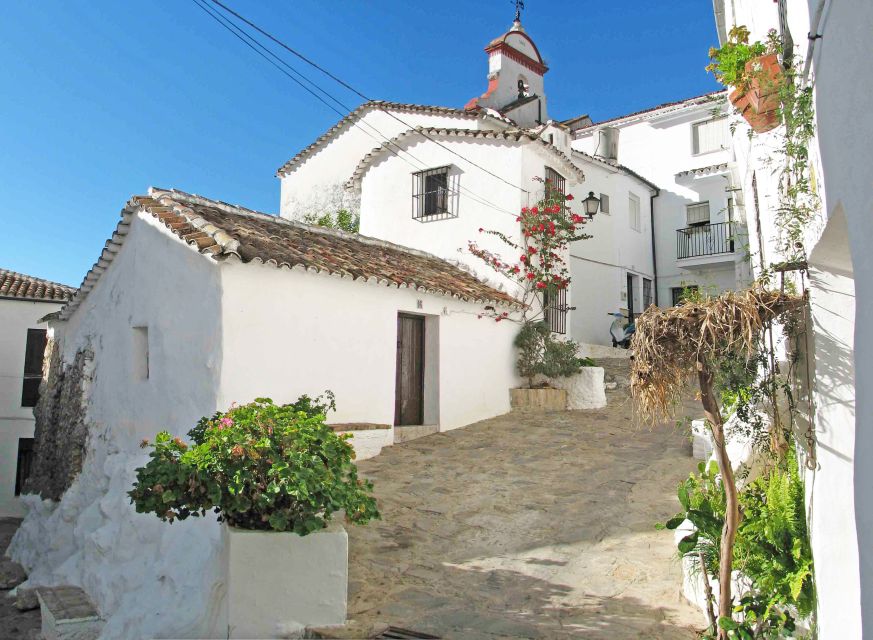 The White Towns of Andalusia: Private Day Trip From Cádiz - Full Description