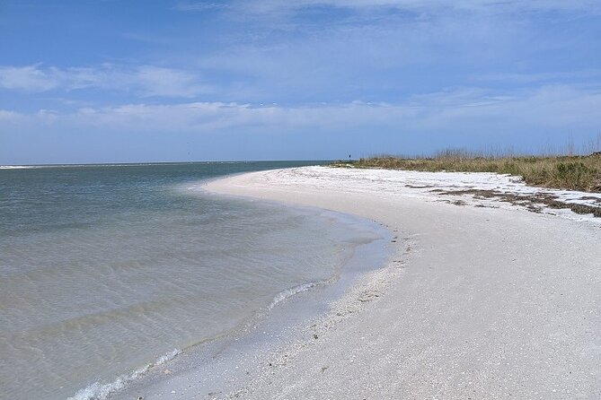 Three Hour Shelling Cruise to Shell Key Preserve From Johns Pass - Reviews