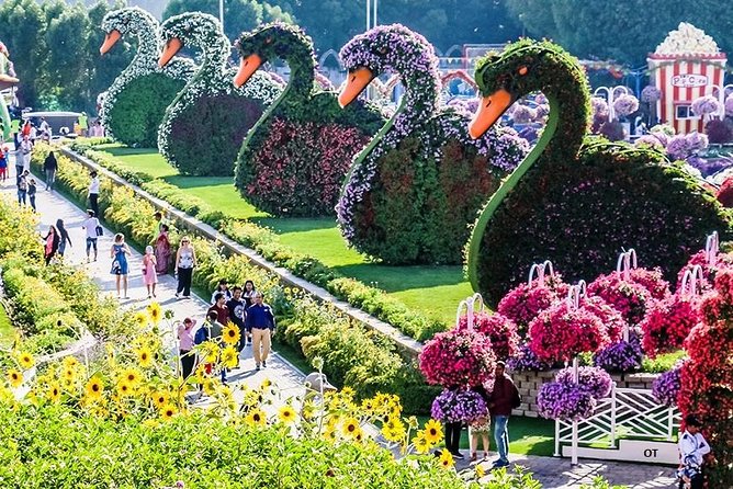 Tickets to Miracle Garden or Butterfly Garden or Global Village - Booking Information