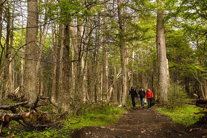 Tierra Del Fuego National Park With the End of the World Train - Reviews and Feedback