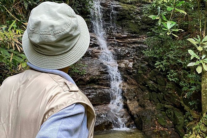 Tijuca Forest: Tour With Waterfalls and Caves - Cancellation Policy Details