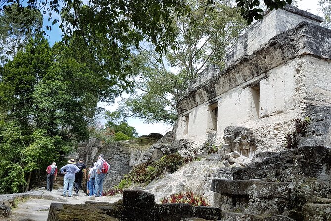 Tikal From Flores or Mundo Maya Airport With Transportation, Local Guide and Lunch - Additional Information and Policies