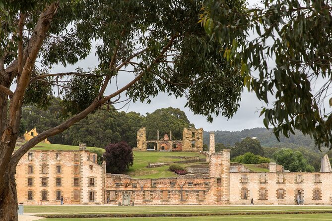 Time Traveler Tale Unveiling History at Port Arthur Full Day Tour - Historical Insights