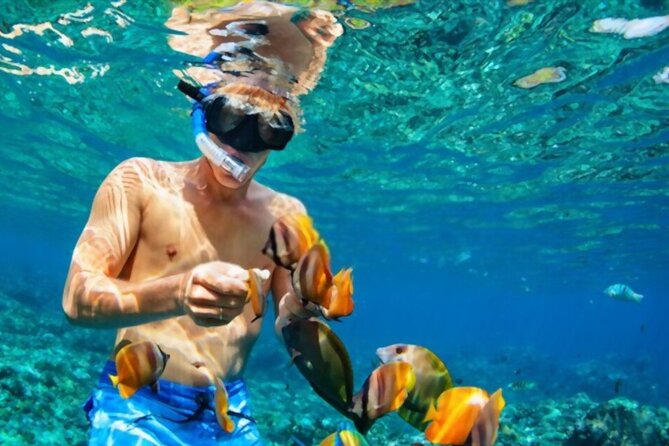 Tiran Island Snorkeling Excursion - Additional Resources Available