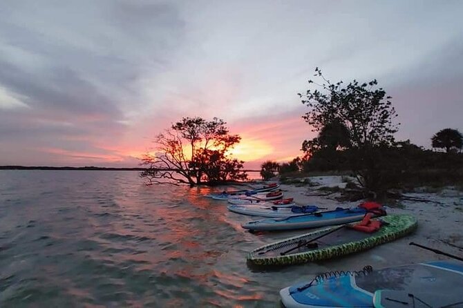 Titusville Sunset and Night Bioluminescence Kayak Paddle Tour  - Cocoa Beach - Booking Information