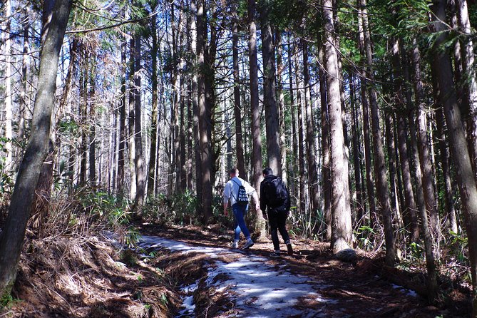 Togakushi Shrine Hiking Trails Tour in Nagano - Cultural Highlights of Togakushi Shrine