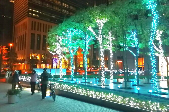 Tokyo Winter Illumination Tour - Weather Considerations