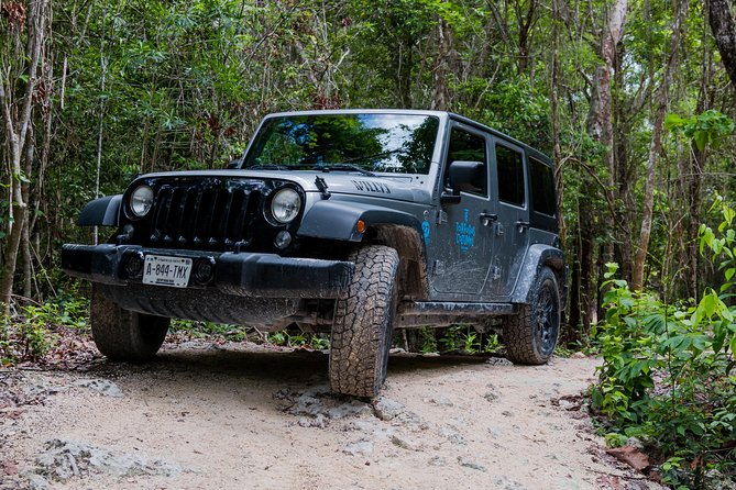 Tortugas Jeep Adventure & ATV Jungle Experience - ATV Ride Requirements and Menu