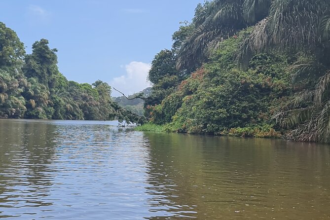 Tortuguero One Day Tour From San Jose. Semi Private Small Group - Booking and Pricing
