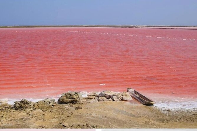 Totumo Volcano and Mar Rosa Tour in Cartagena With Lunch - Guide Performance and Feedback