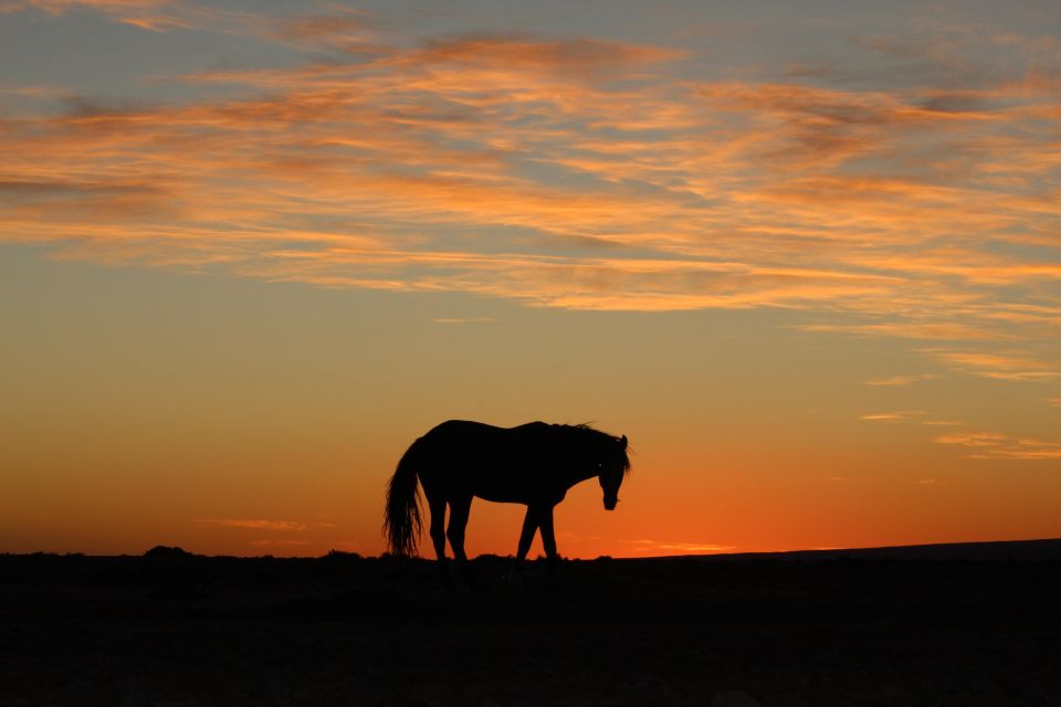 Touareg Desert Horseback Riding in Morocco - Booking Information