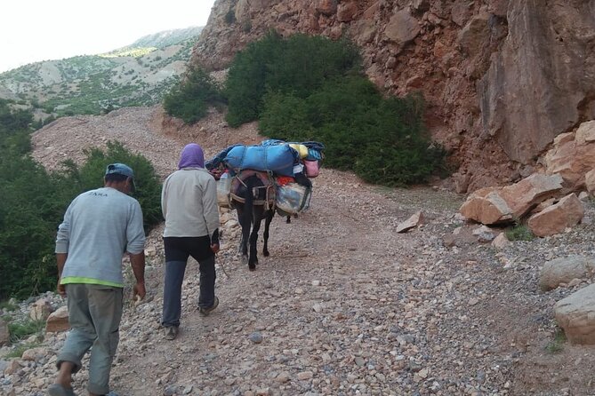 Toubkal Ascent Private 3-Days Tour - Booking Details