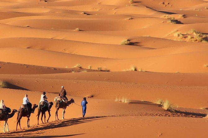 Tour 3 Days 2 Nights to Merzouga Desert From Marrakech - Pricing Details and Options