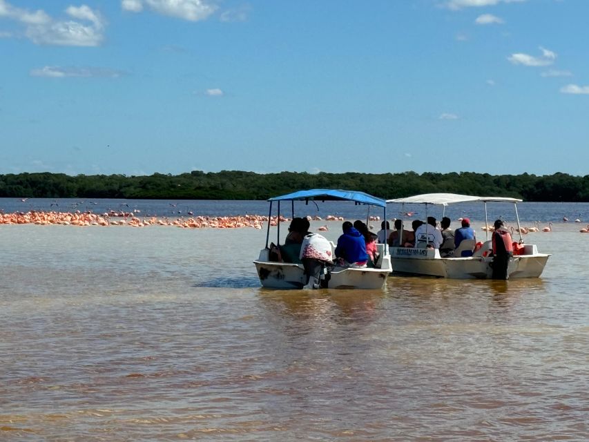 Tour Celestún Mangroves, Pink Flamingos and Beach - Booking and Reservation Details