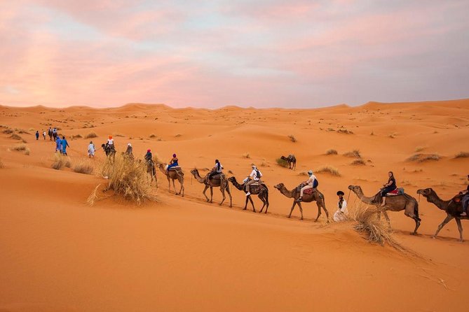 Tour From Marrakech to the Desert 4 Days - Pricing and Booking Details
