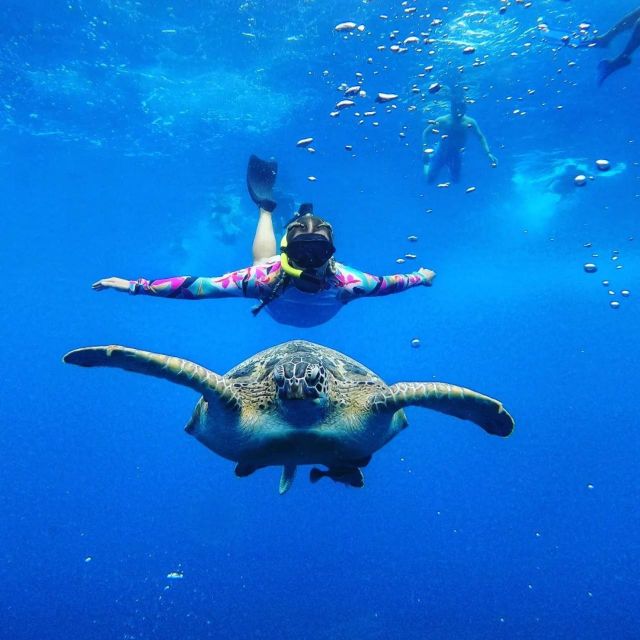Tour Gili Islands : Private Snorkeling Trip 4 Hours - Customer Reviews