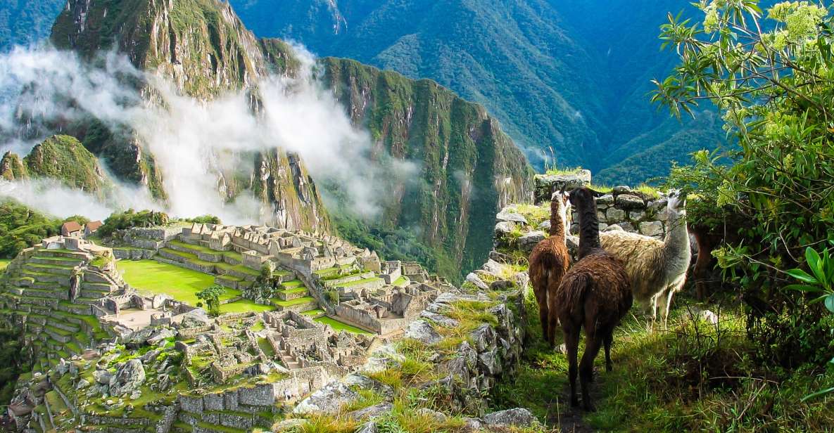 Tour Hotel Cusco and Machu Picchu 5 Days 4 Nights - Inclusions Provided