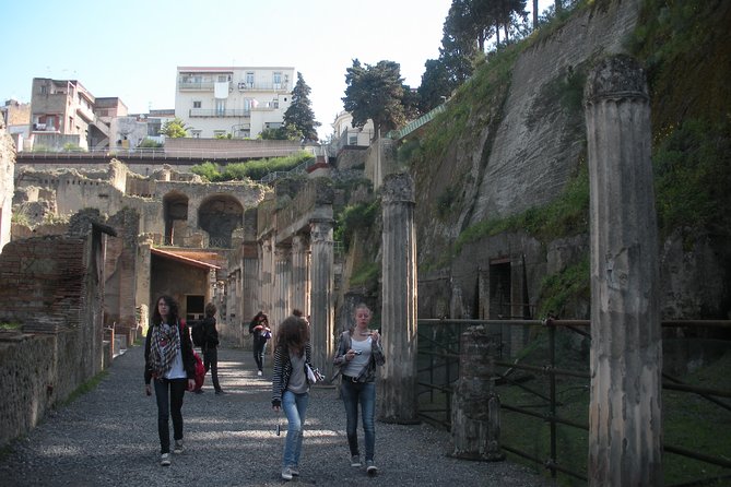 Tour in the Ruins of Herculaneum With an Archaeologist - Additional Resources