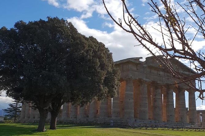 Tour in the Ruins of Paestum With an Archaeologist - Historical Insights