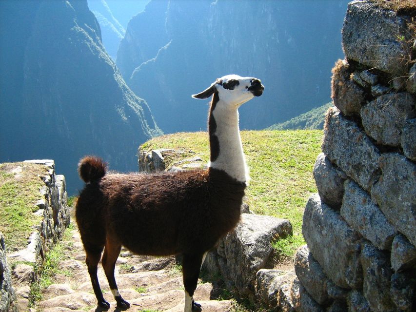 Tour Machu Picchu Mountain Huayna Picchu - Reservation & Payment Details