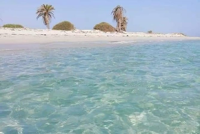 Tour of the Island of Djerba the Island of Lotophages - Culinary Delights and Local Cuisine