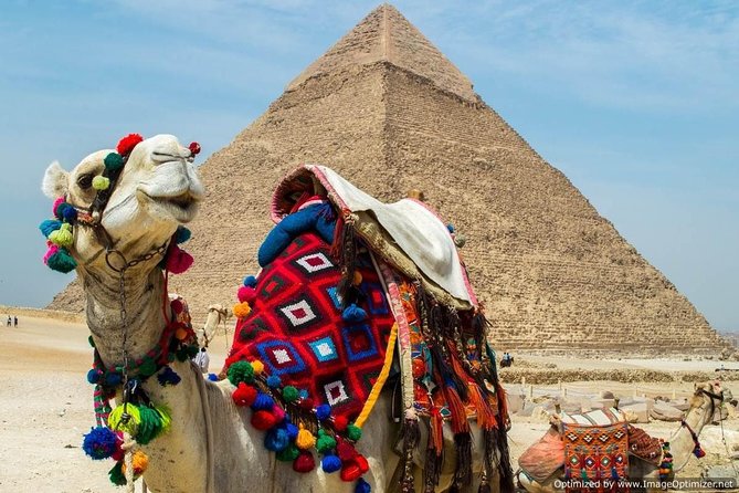 Tour to Cairo and the Pyramids From EL Gouna by A/C Vehicle - Booking Information and Pricing