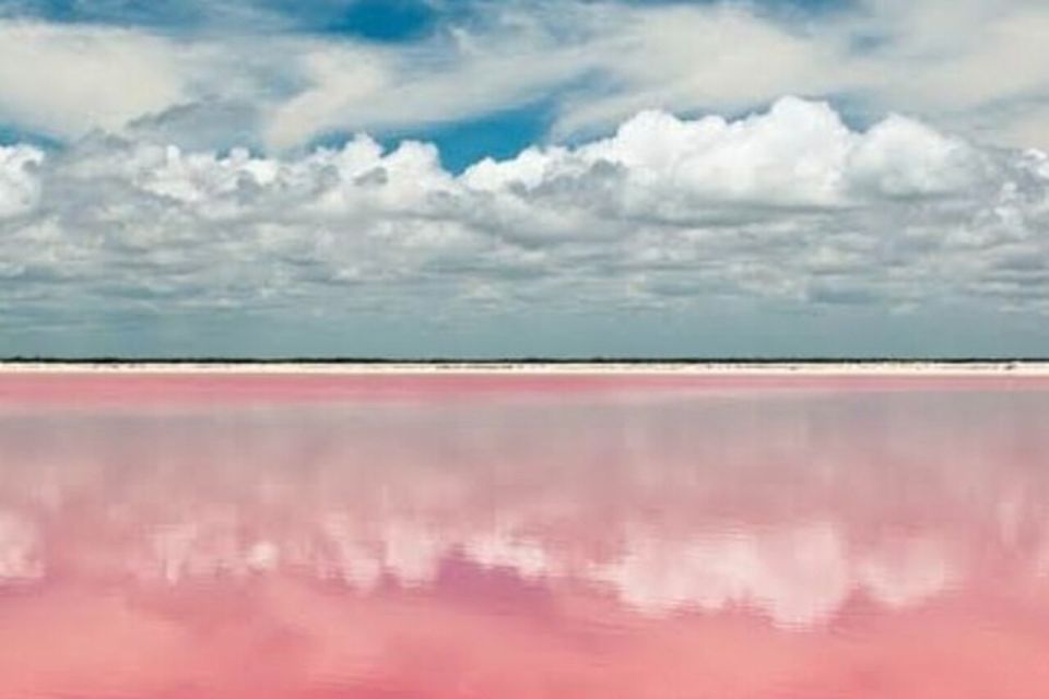 Tour to Las Coloradas and Rio Lagartos From Merida - Location Details