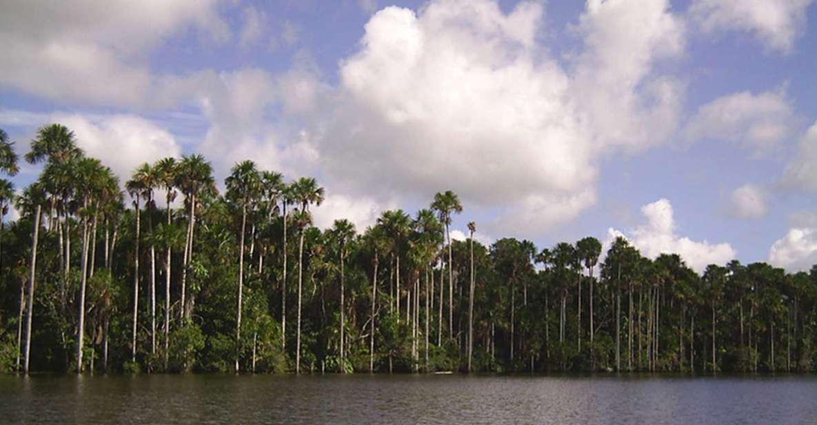 Tour to Tambopata: Amazon Adventure 3d/2n - Tour Details