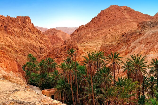 Tozeur Private Half-Day Tour: Tamerza, Chebika and Mides Canyons - Assistance and Support