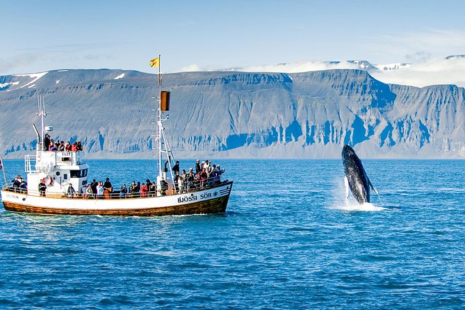 Traditional Oak Ship Whale Watching Tour From Husavik - On-Board Experience and Amenities