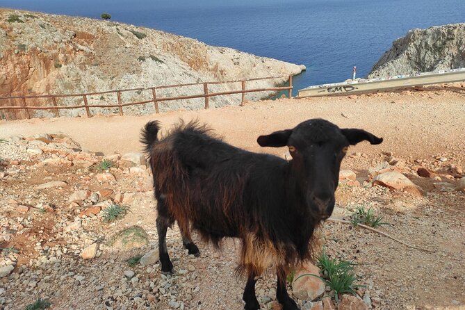 Traditional Villages of Chania Private Tour to Explore Pure Crete - Pricing Information