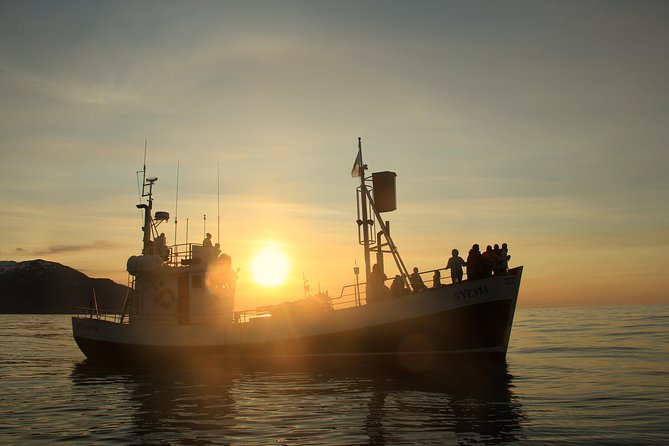 Traditional Whale Watching Tour From Húsavík - Memorable Experiences