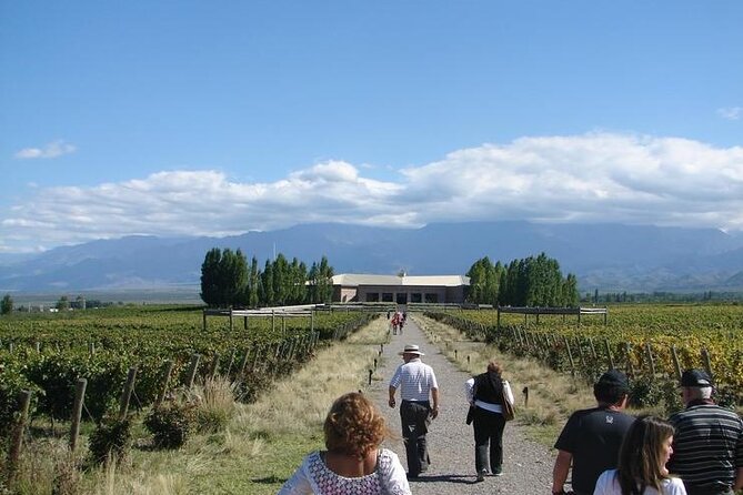 Transfer to Salentein Uco Valley With Lunch and Visit - Lunch and Wine Tasting