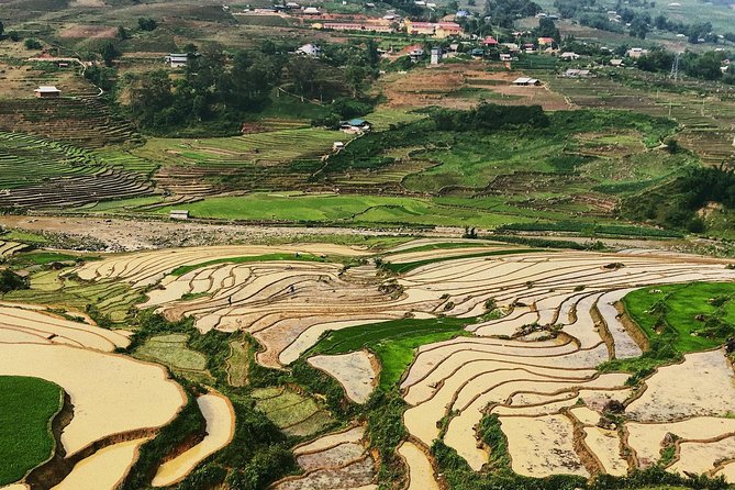 Trekking Sapa 1 Day - the Best Terraced Rice Field - Booking Information and Pricing Details